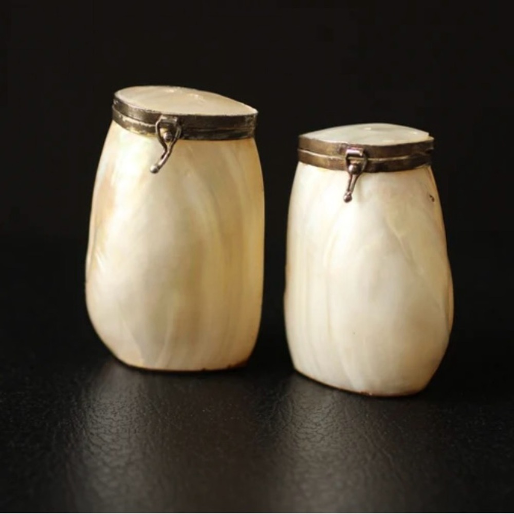 Mother of pearl Salt and Pepper shaker, tray. Vintage Victorian. Rare find.